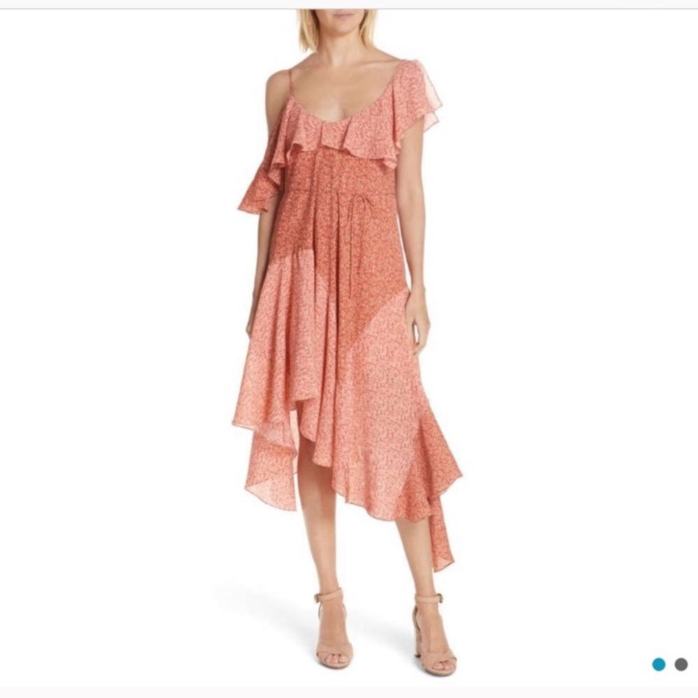 NWT [Joie] Dress WITH belt - Picture 5 of 6